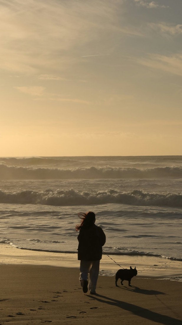Une femme promène son bouledogue sur la plage au coucher du soleil